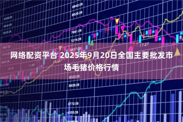 网络配资平台 2025年9月20日全国主要批发市场毛猪价格行情