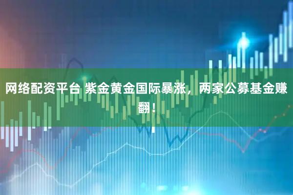 网络配资平台 紫金黄金国际暴涨，两家公募基金赚翻！