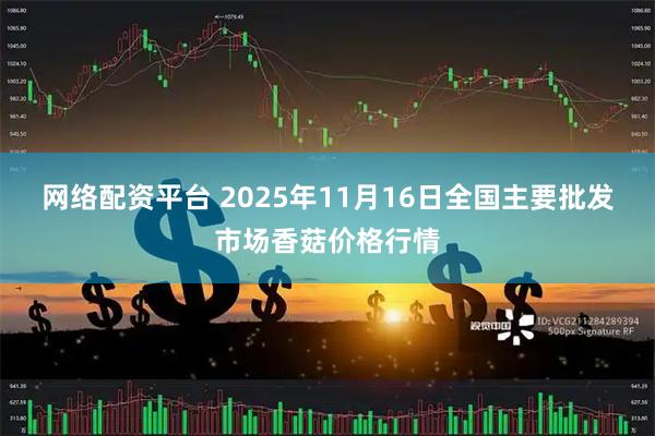 网络配资平台 2025年11月16日全国主要批发市场香菇价格行情