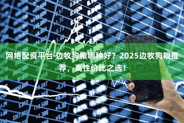 网络配资平台 边牧狗粮哪种好？2025边牧狗粮推荐，高性价比之选！